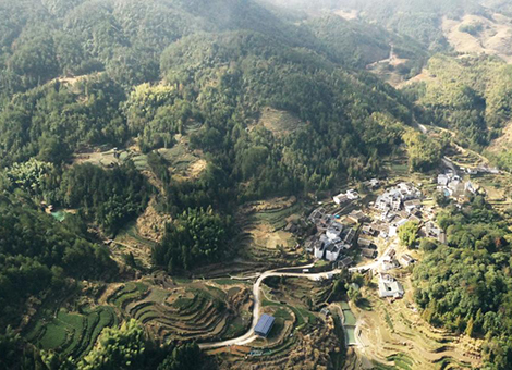 新春走基層丨小山村里的“項(xiàng)目熱”